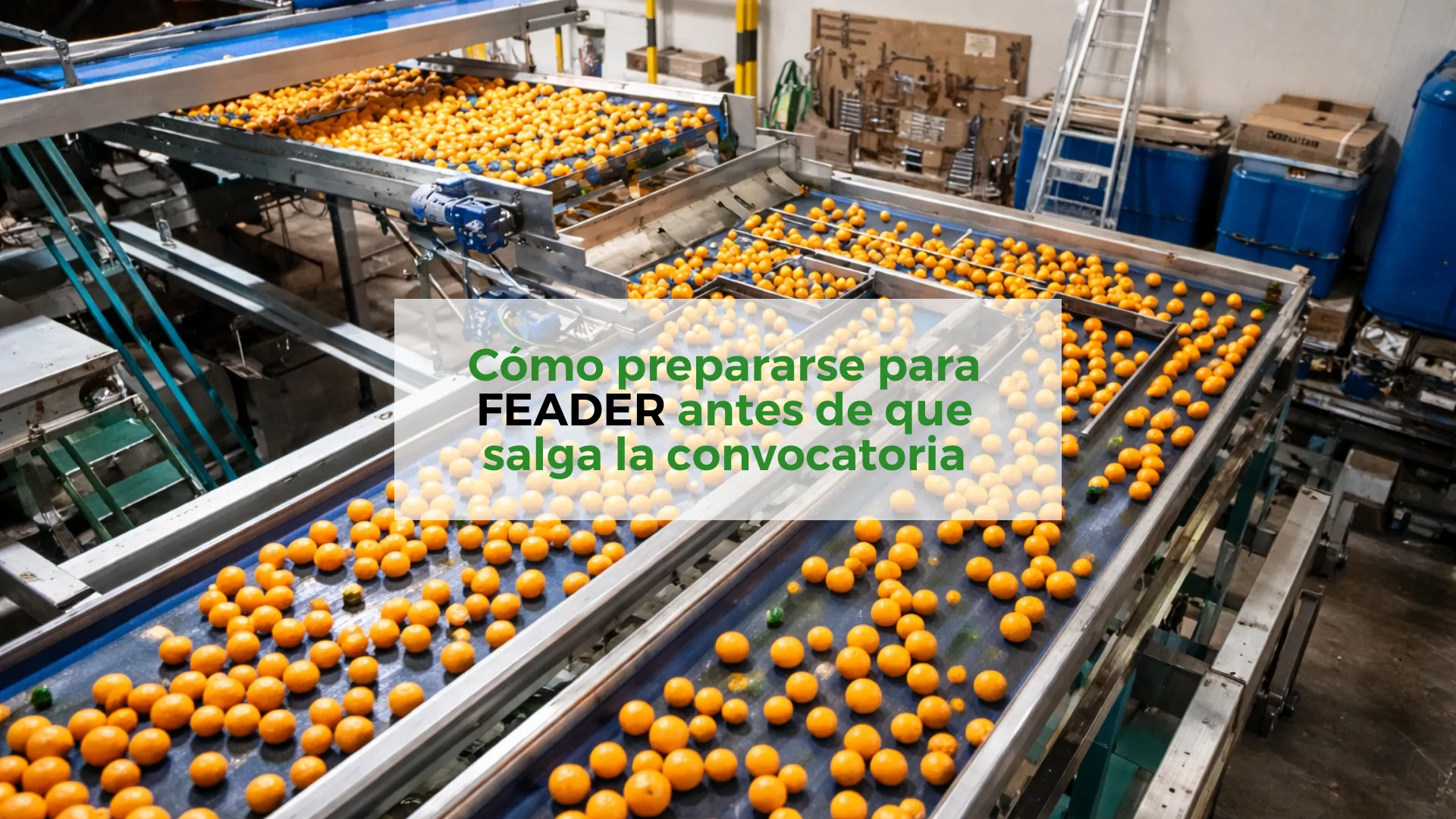 Cómo-prepararse-para-FEADER-antes-de-que-salga-la-convocatoria